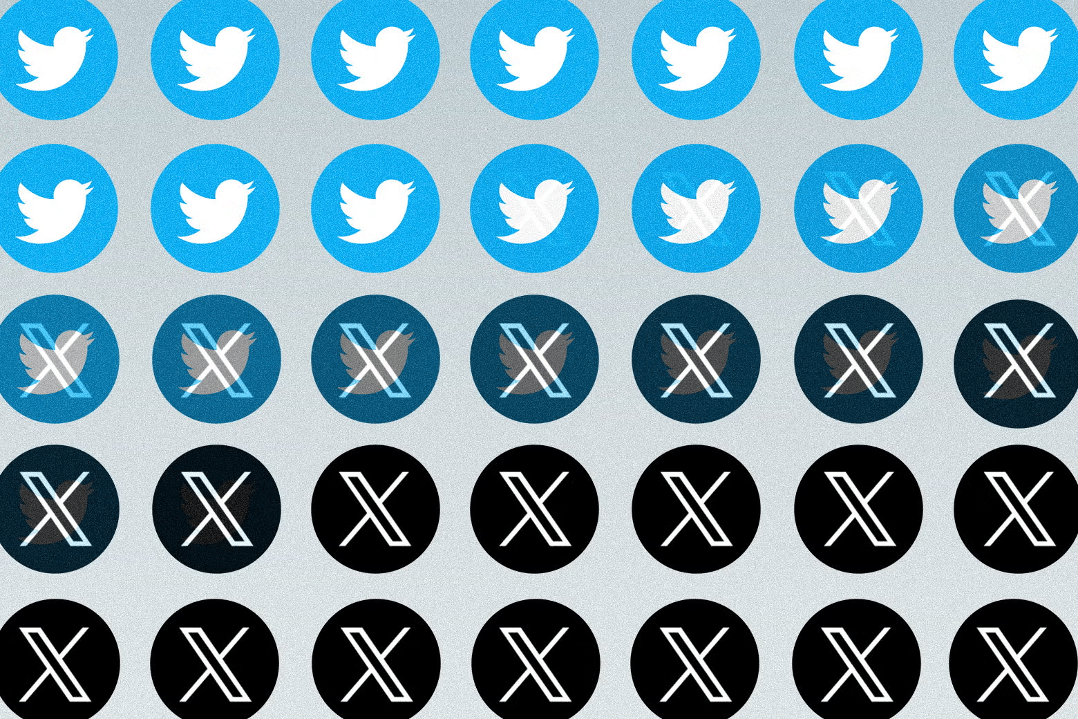 تصفح تويتر X | دليلك الشامل لإستخدام الموقع 2