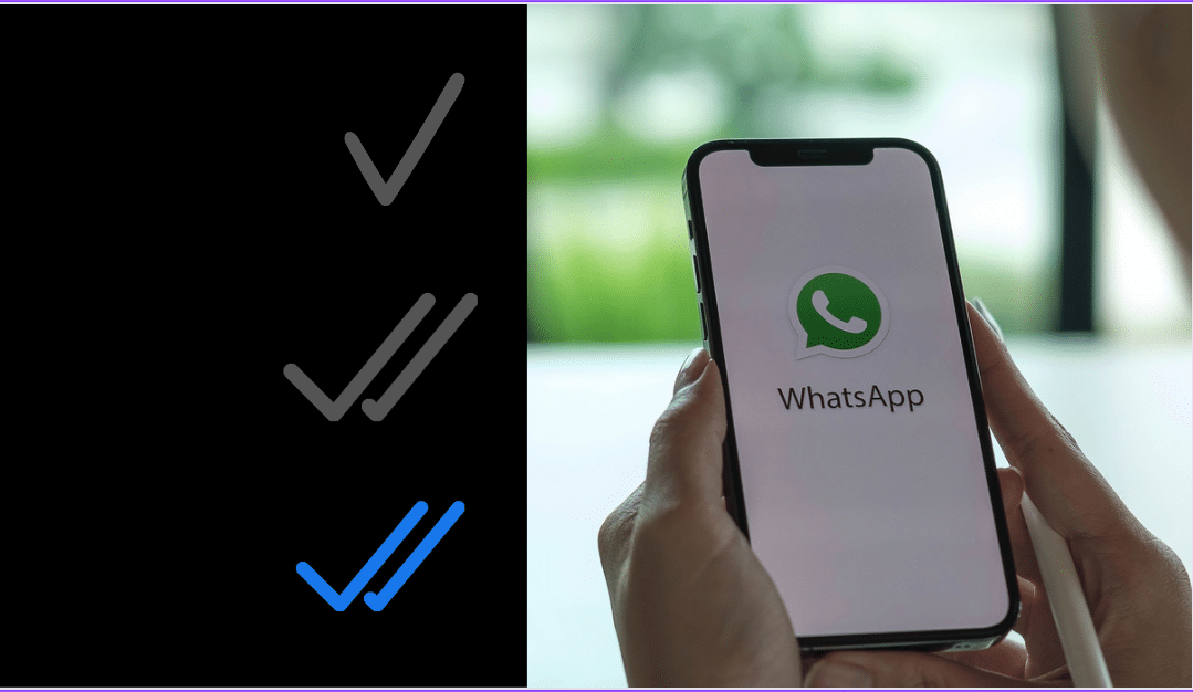 مؤشرات قراءة الرسائل في WhatsApp