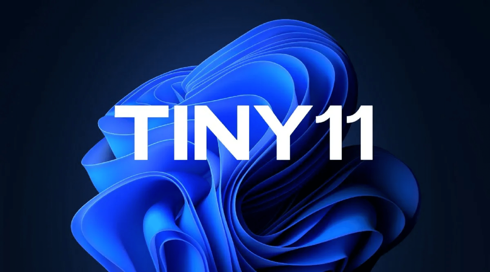 Tiny 11