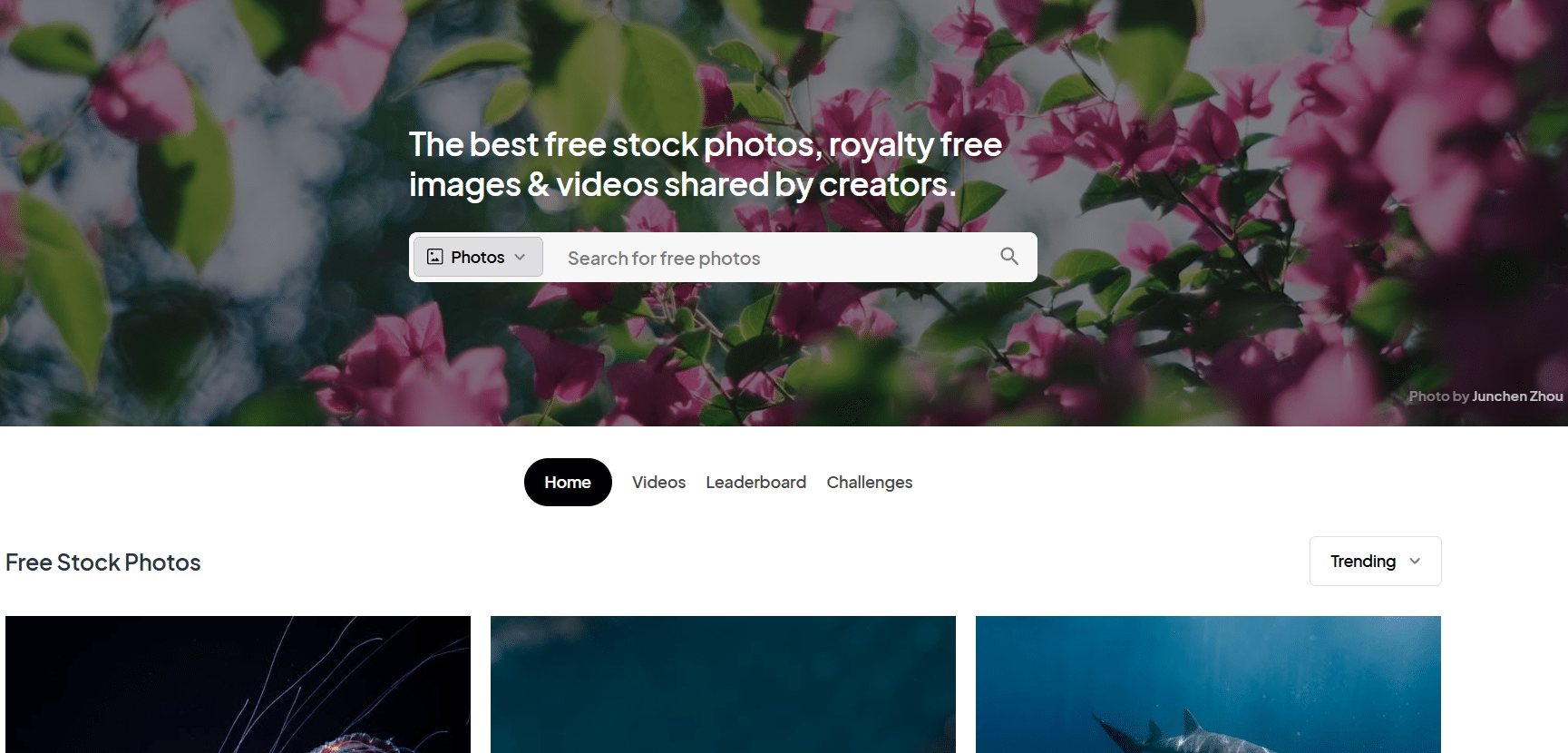 Top 10 Free Stock Photos Sites with High Quality 3