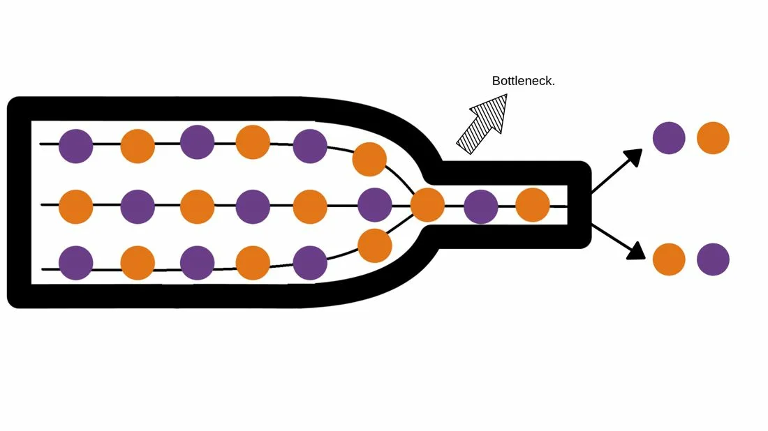 Bottleneck