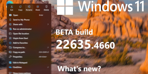 Build 22635.4660