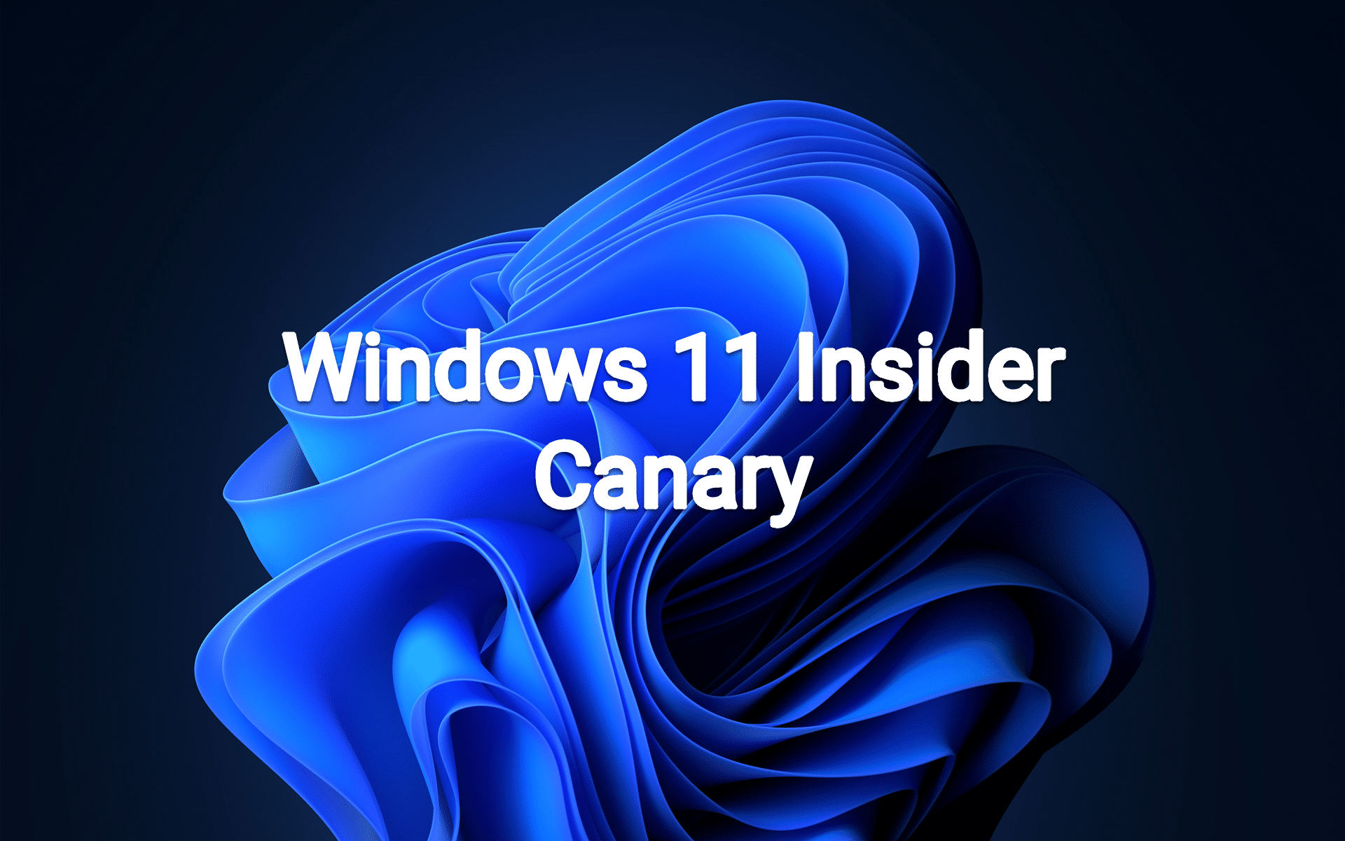 Build 27766 canary