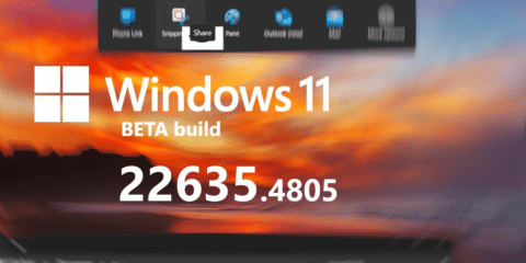 New Windows 11 Build 22635.4805