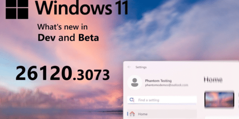 New Windows 11 Build 26120.3073